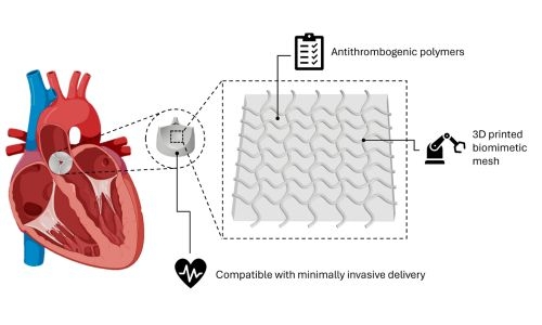 Illustration of the Corametix solution