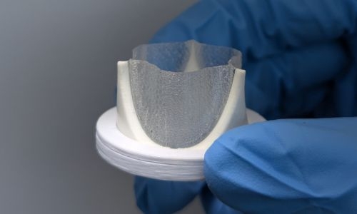 Picture of the Corametix heart valve