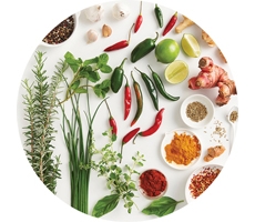 A group of different spices and herbs 