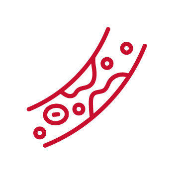 Cholesterol artery icon